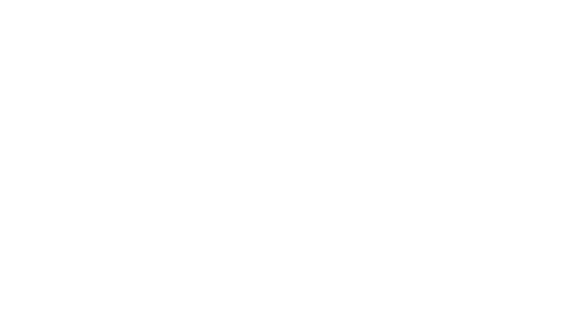 Dischem-BabyCity-Logo-White