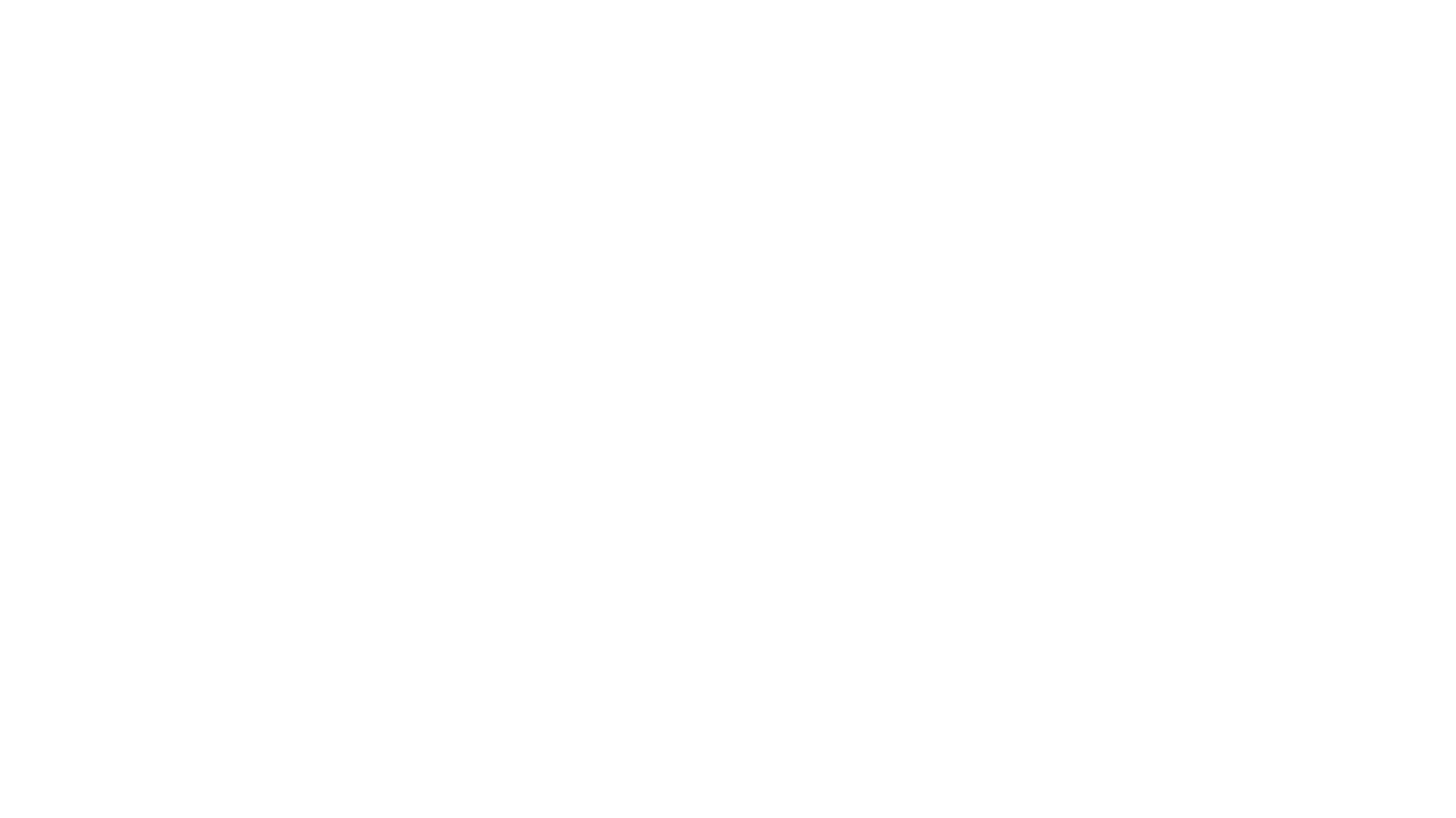 Dischem-Logo-White