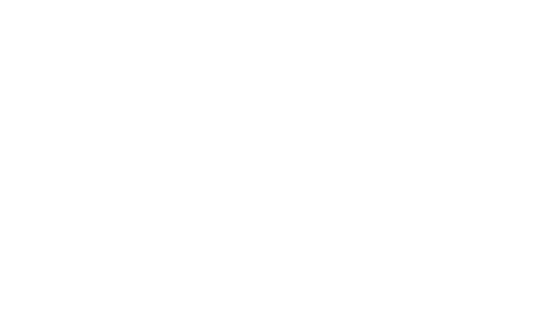 The-Crazy-Store-Logo-White