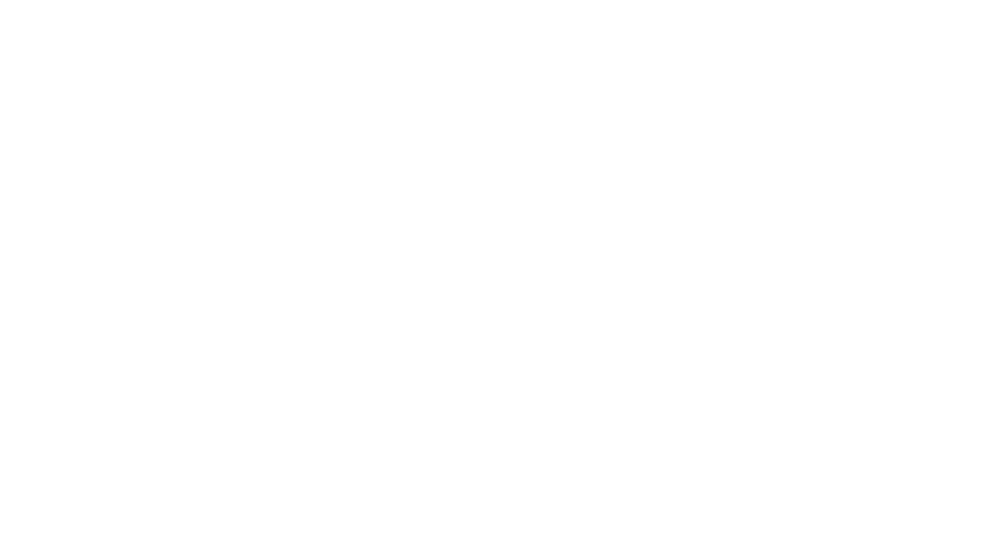 ToysRUs-Logo-White